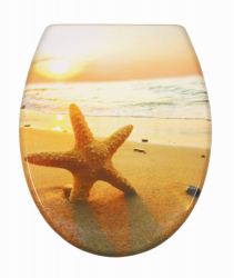 Schtte SEA STAR | Duroplast, Soft Close 